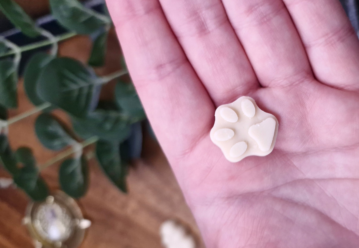 Leading lady - Mini Melts