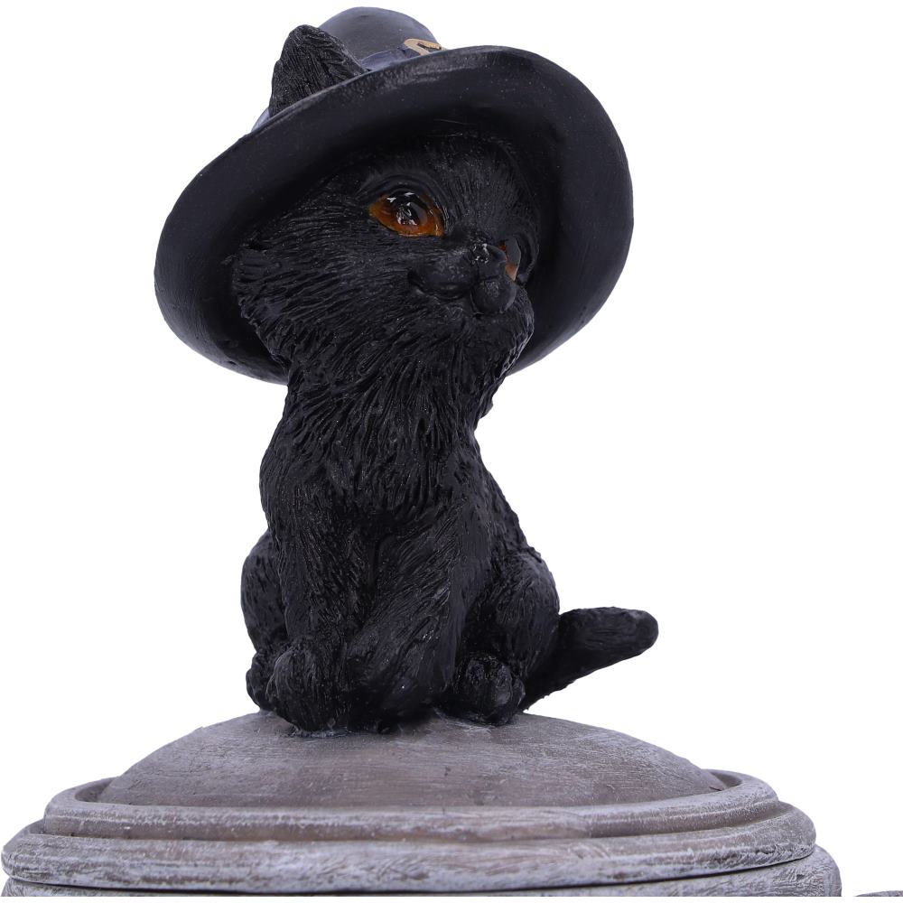 Kitty's Brew Box 14cm