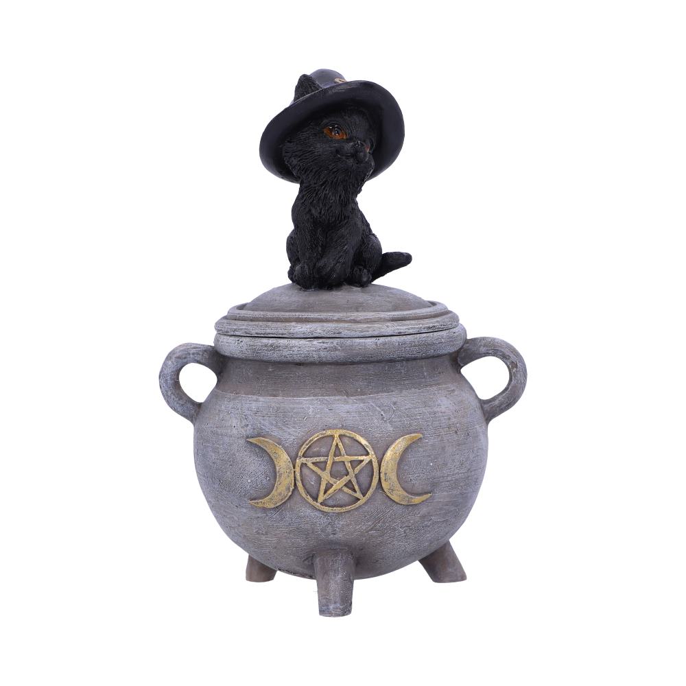 Kitty's Brew Box 14cm