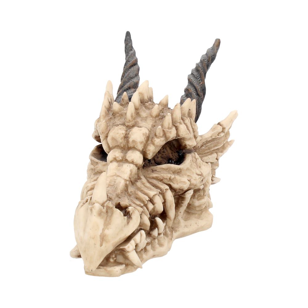 Dragon Skull Box 20cm