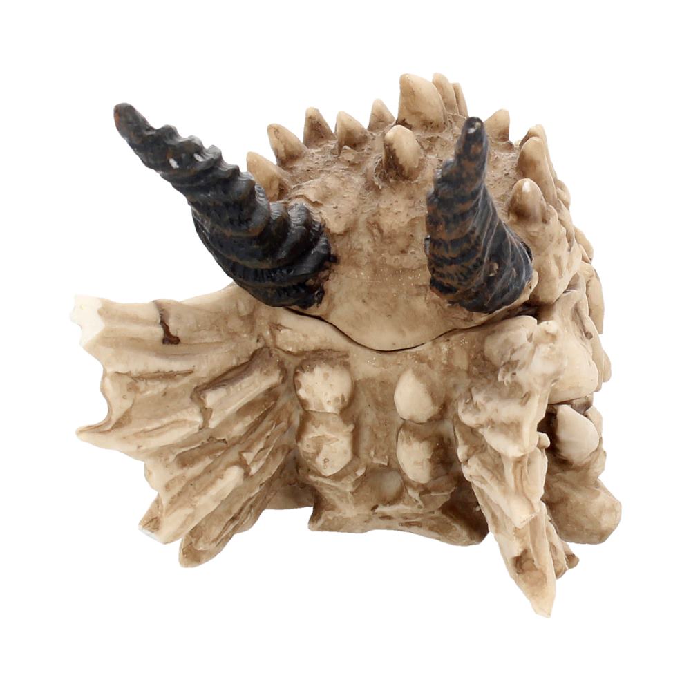 Dragon Skull Box 20cm