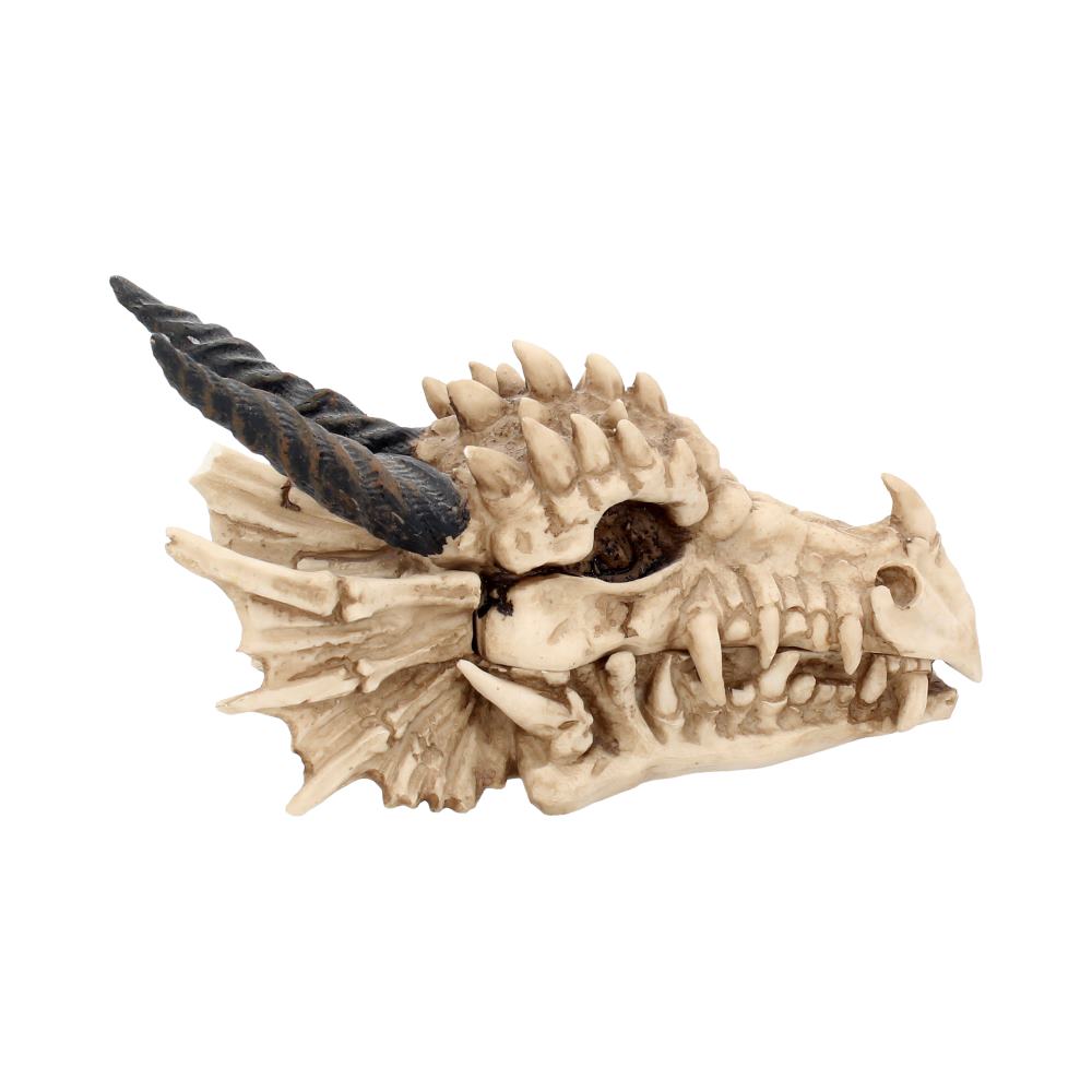 Dragon Skull Box 20cm