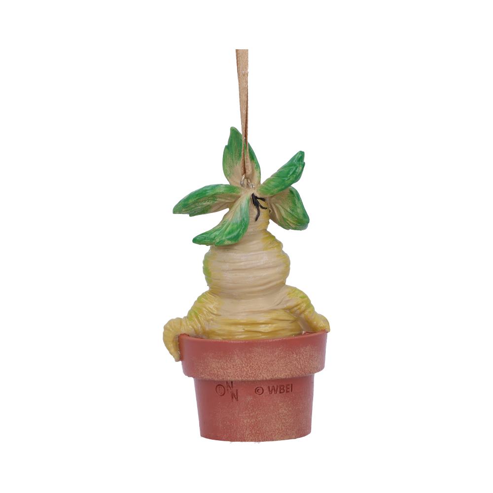 Mandrake hanging ornament 9.5cm