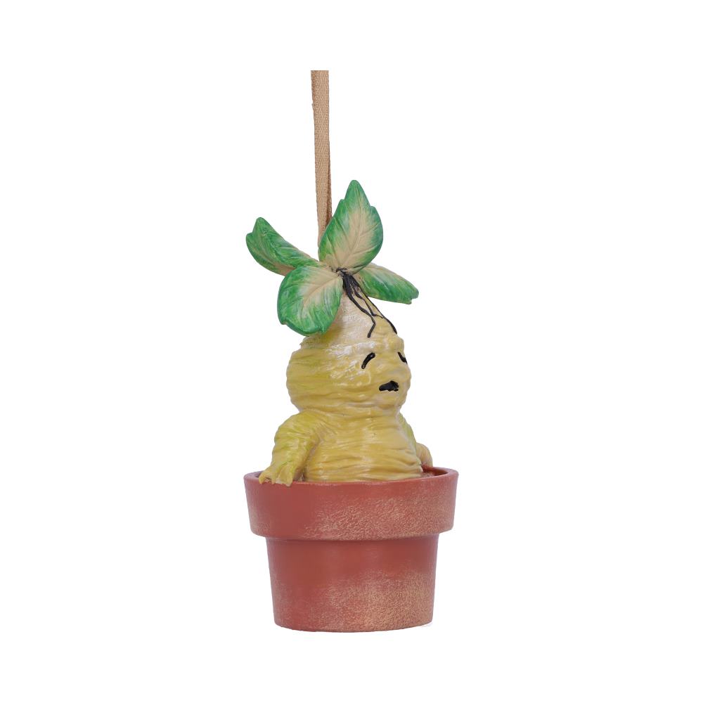 Mandrake hanging ornament 9.5cm