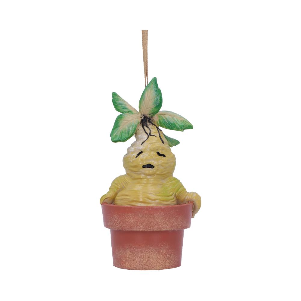 Mandrake hanging ornament 9.5cm