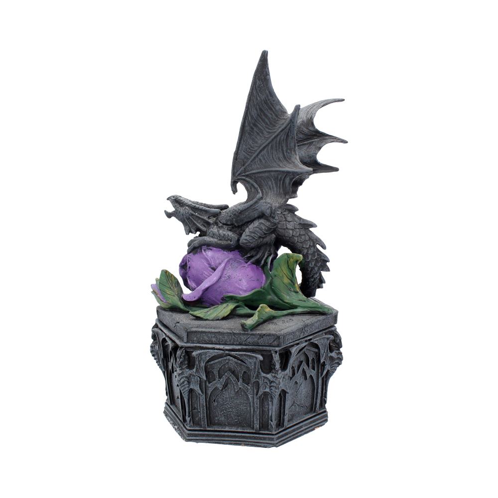 Anne Stokes Dragon Beauty Box 25cm