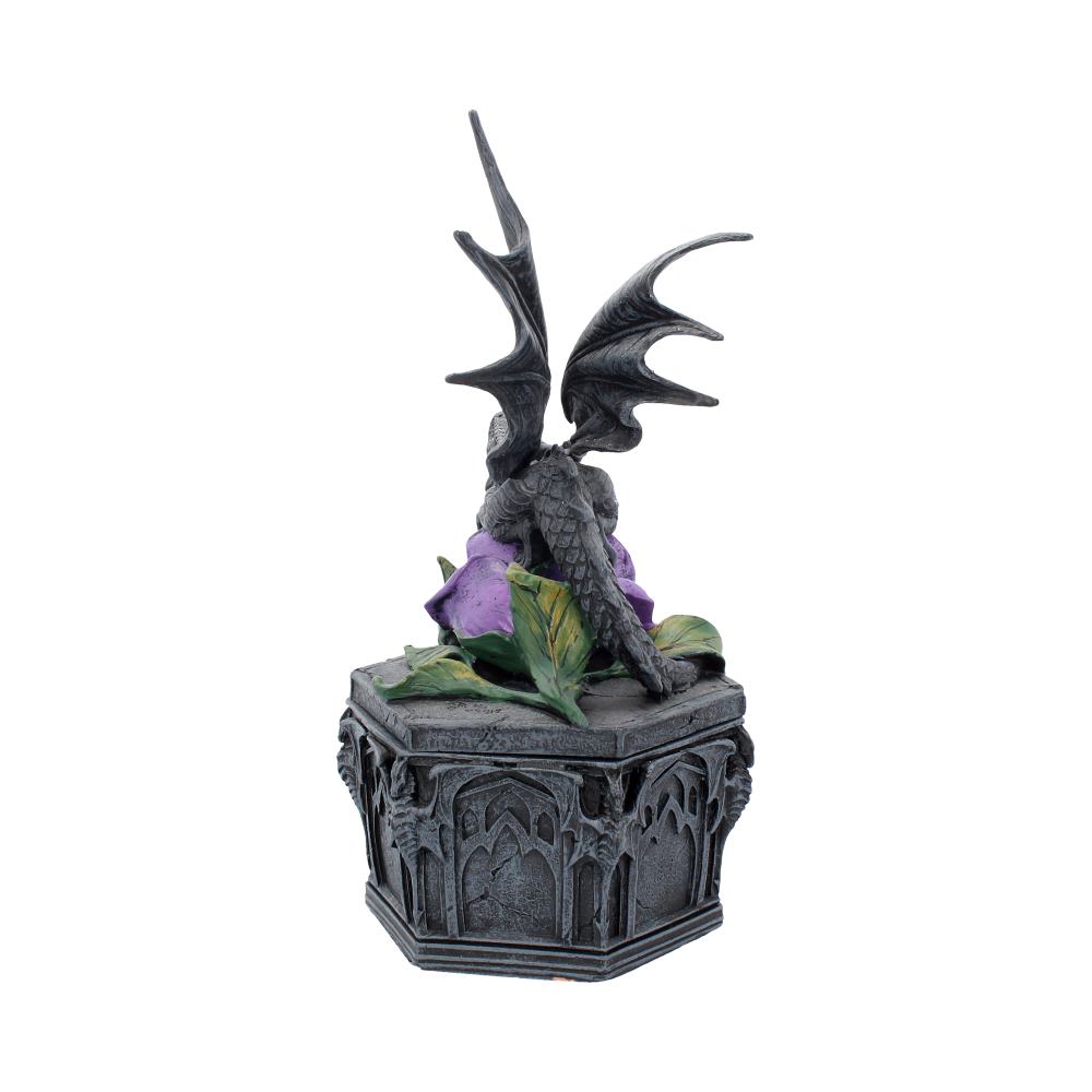 Anne Stokes Dragon Beauty Box 25cm