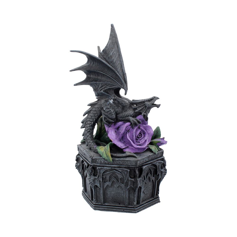 Anne Stokes Dragon Beauty Box 25cm