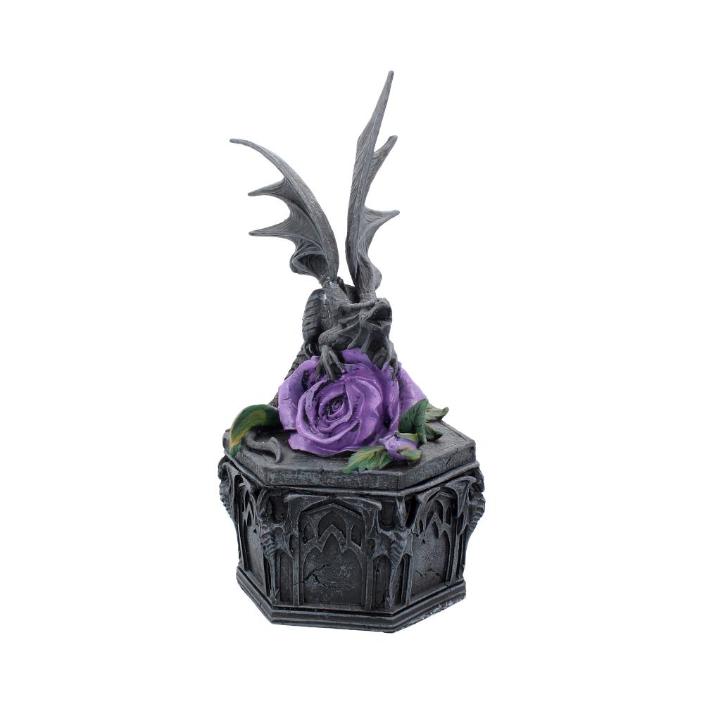 Anne Stokes Dragon Beauty Box 25cm