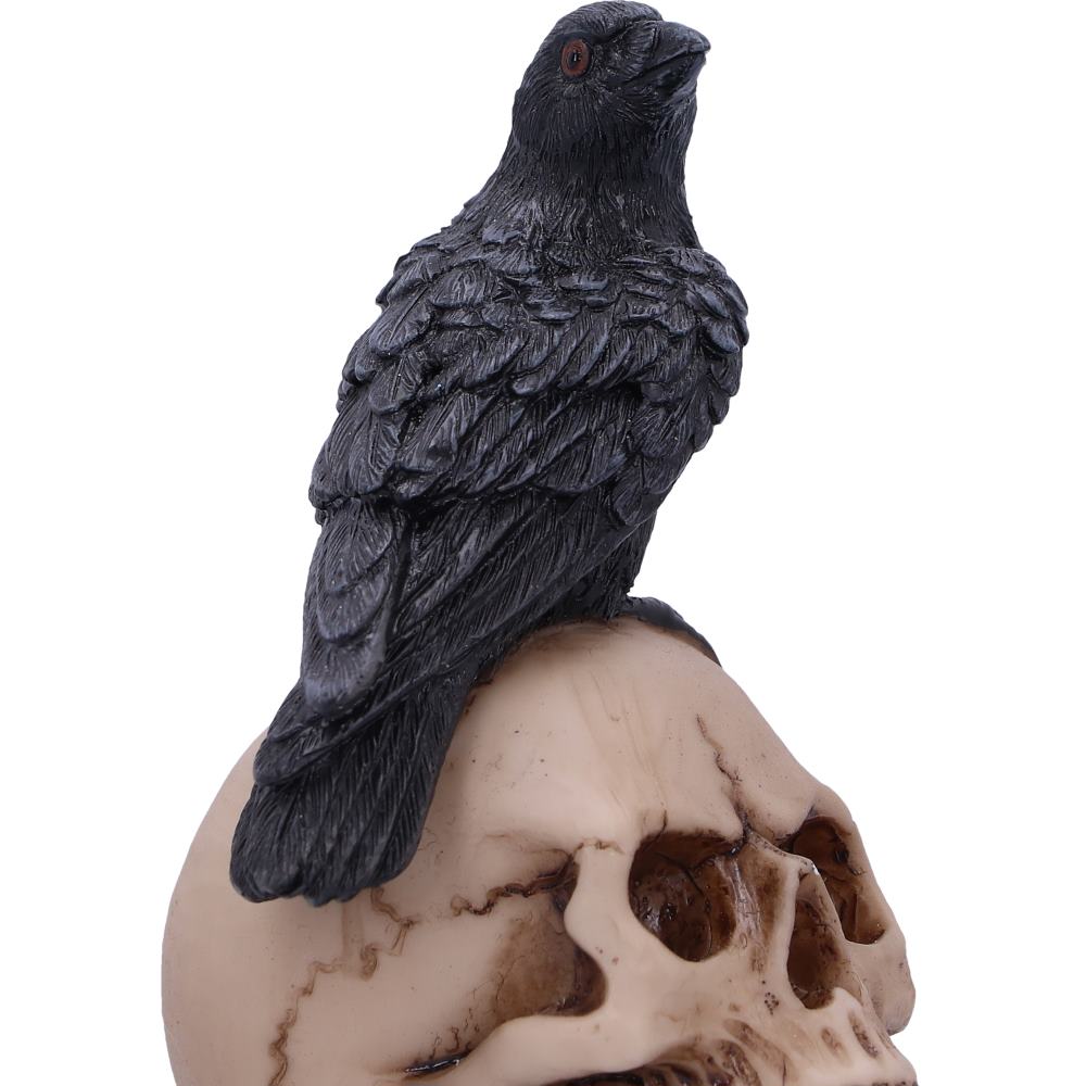 Raven's Spell 10.3cm