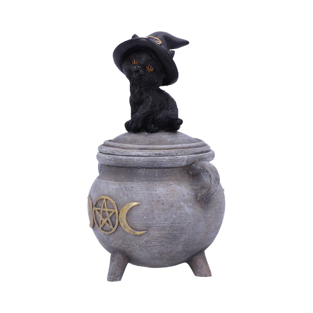 Kitty's Brew Box 14cm