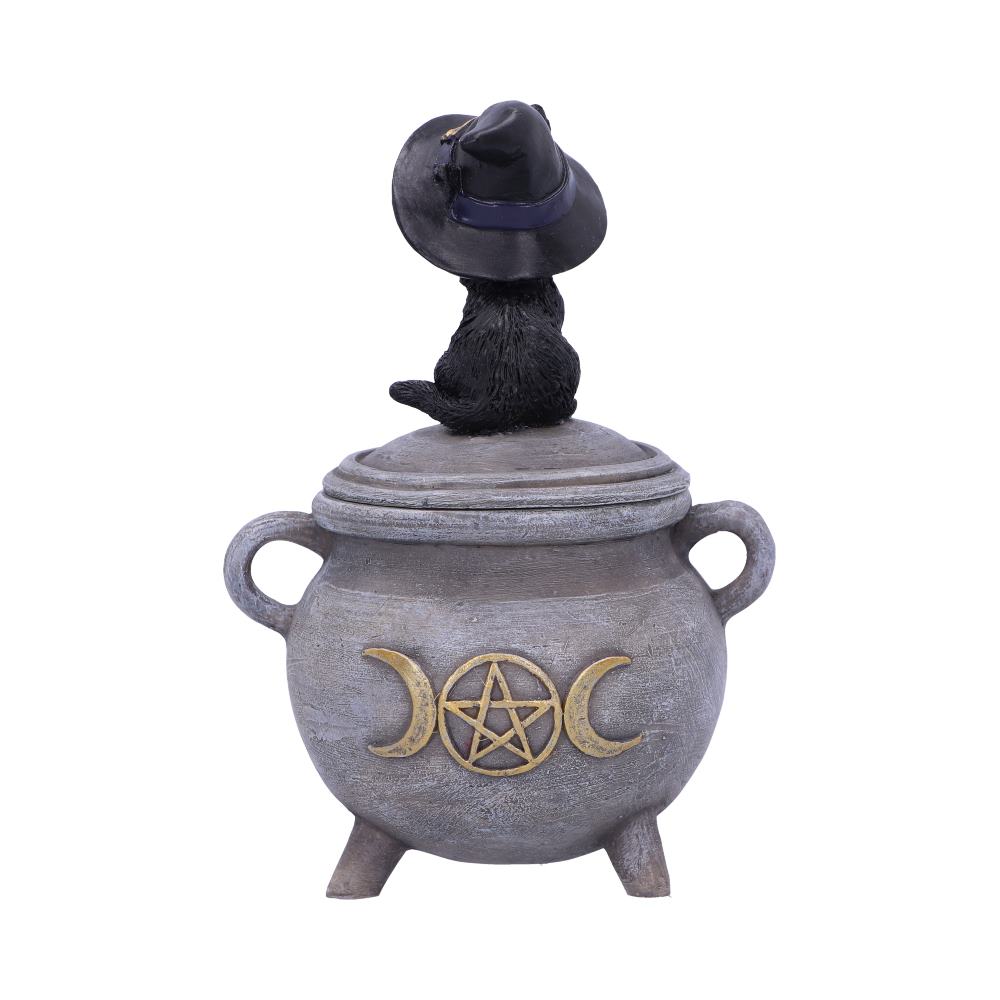 Kitty's Brew Box 14cm