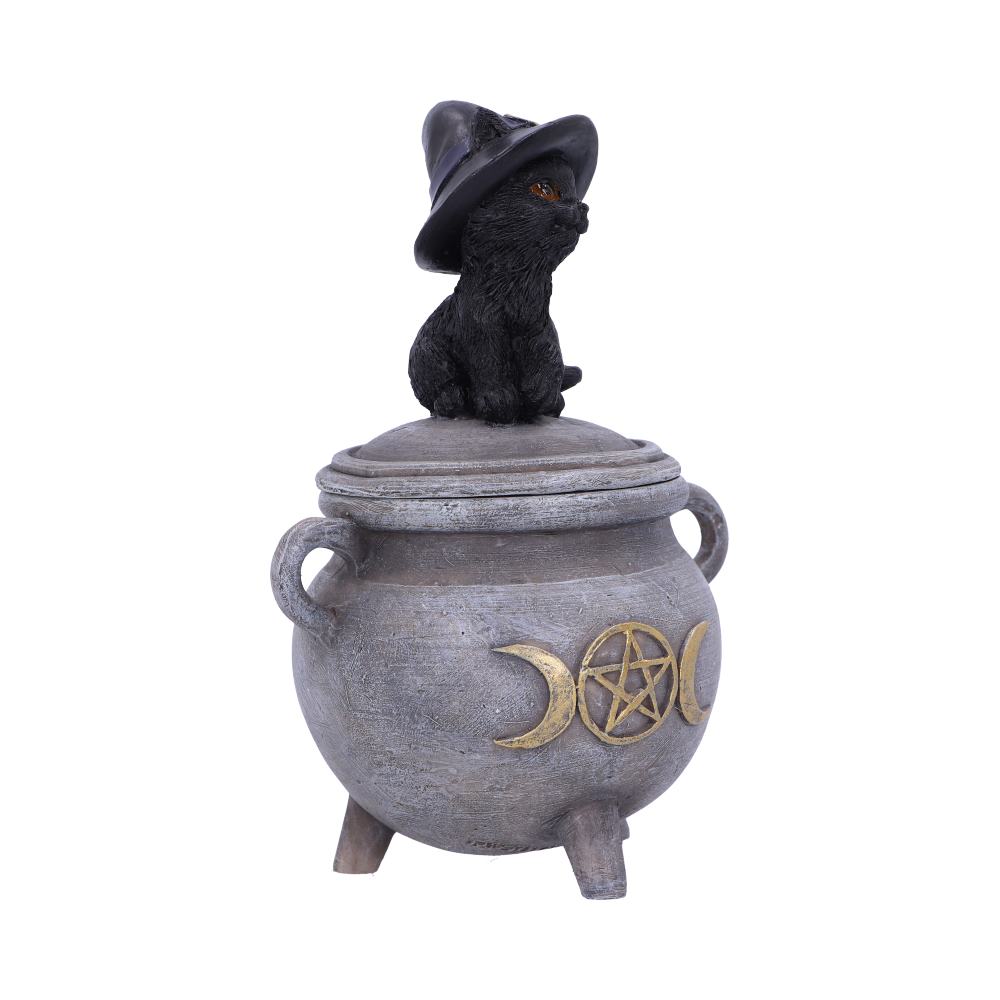 Kitty's Brew Box 14cm