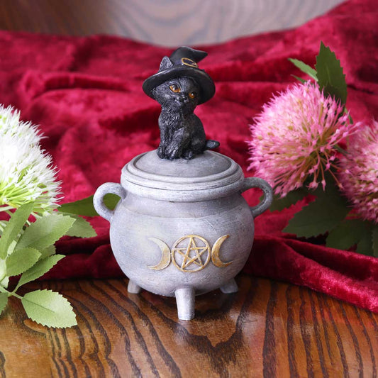 Kitty's Brew Box 14cm